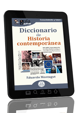 GuíaBurros Diccionario de Historia contemporánea
